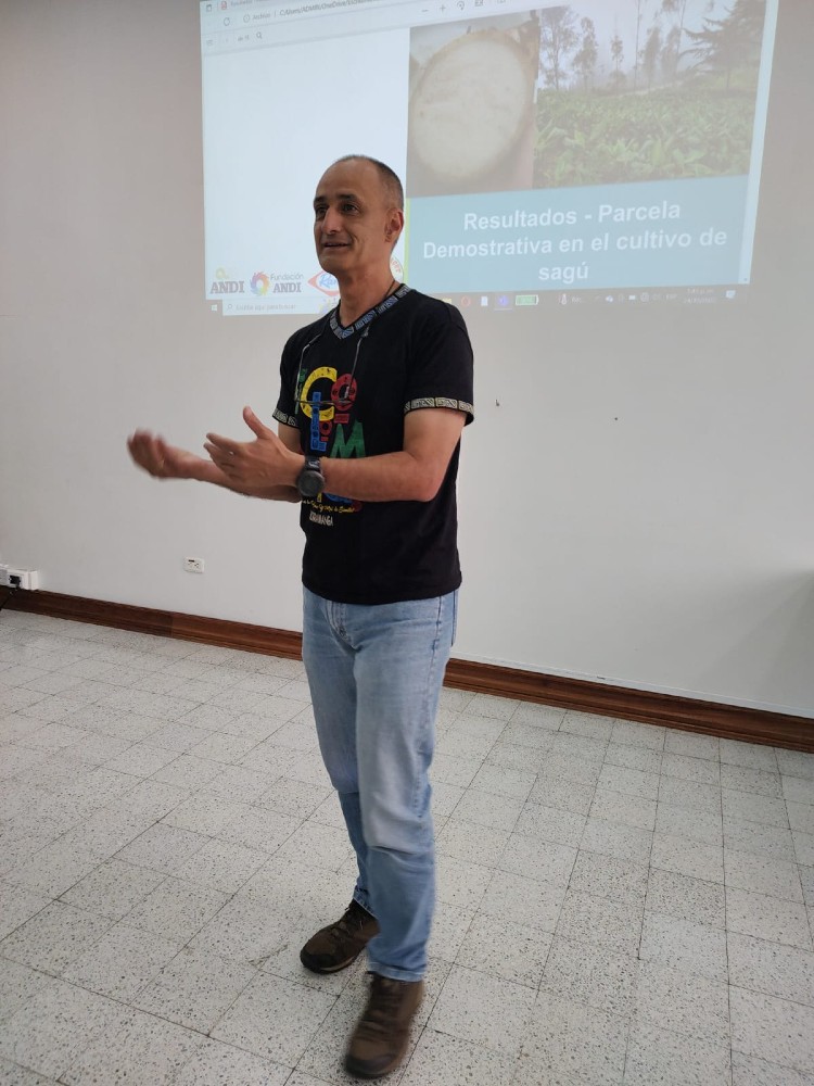 Se Hornea El Plan Estratégico Para El Fortalecimiento De La Cadena De Valor De La Achira5 AGROSAVIA