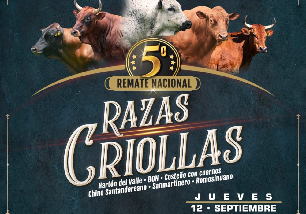 5° Remate Nacional de Razas Criollas, la mejor oportunidad para acceder a ejemplares con excelente calidad genética y eficiencia reproductiva 