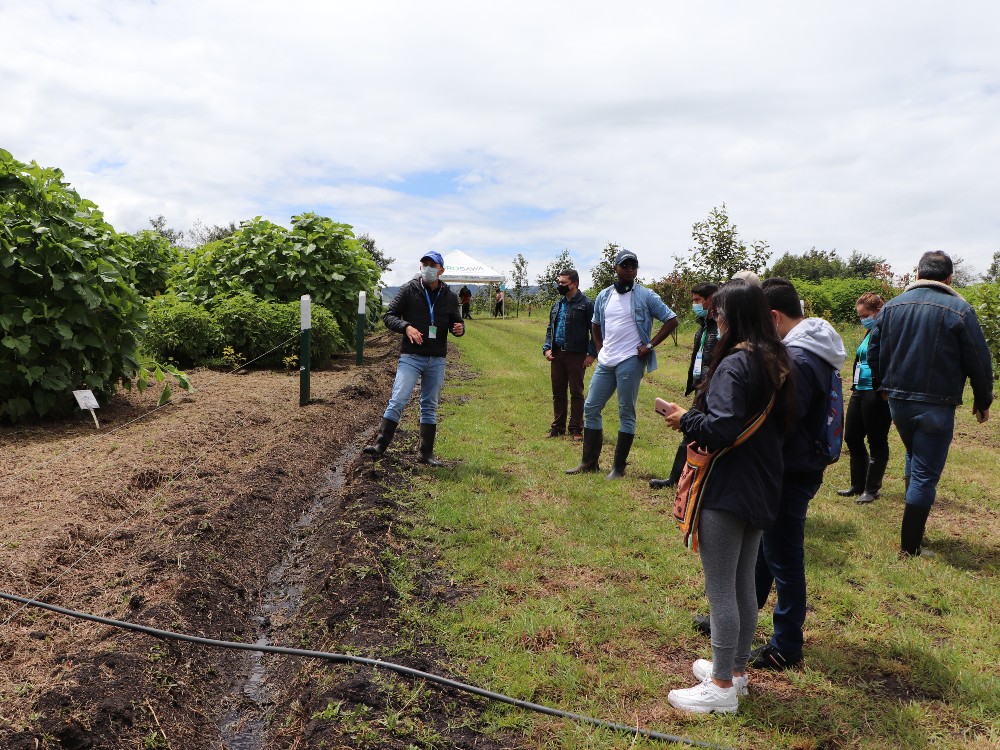 Lanzamiento Silvopastoriles 3 AGROSAVIA