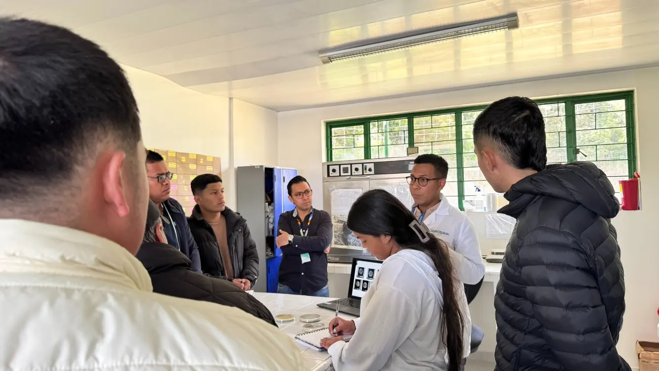 Visitas Obonuco4 Fotor Webp