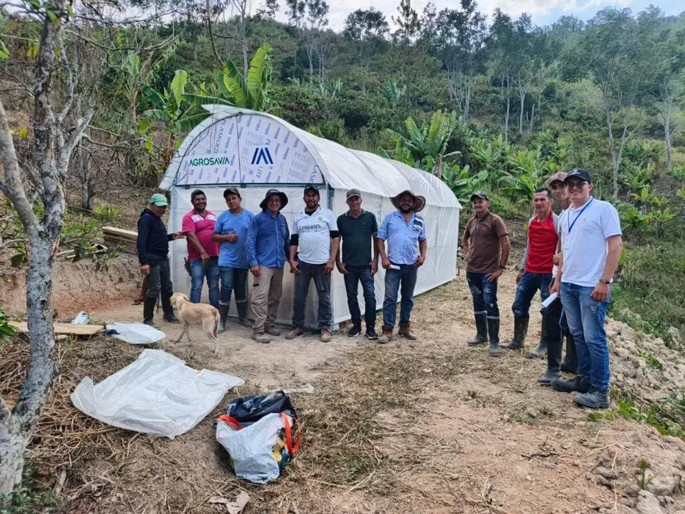 Impulso al cacao del Catatumbo