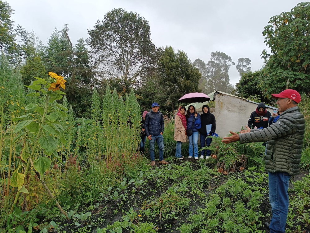 Exchange of knowledge and flavors of the peasant, family, and community agriculture from Nariño