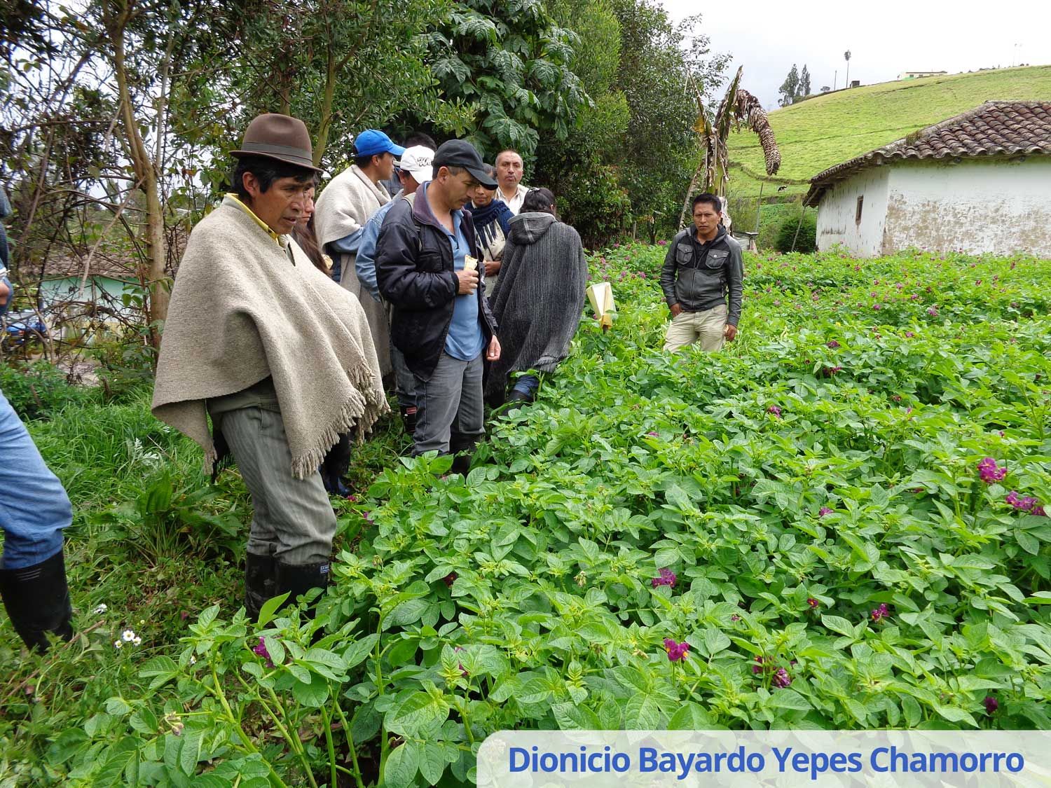 Dionicio Bayardo Yepes Chamorro 7 (1)