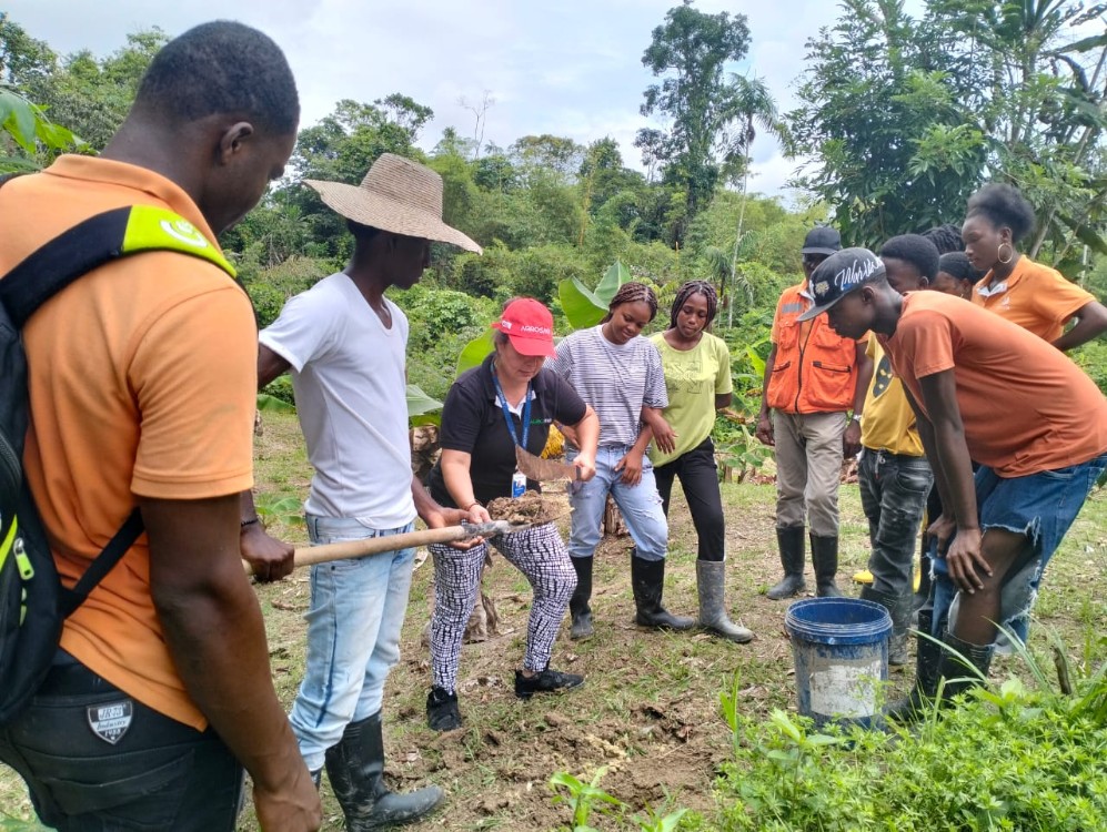 Impulsando El Presente Y Futuro En El Campo El Impacto Del Proyecto Jóvenes Rurales En El Cauca5 AGROSAVIA