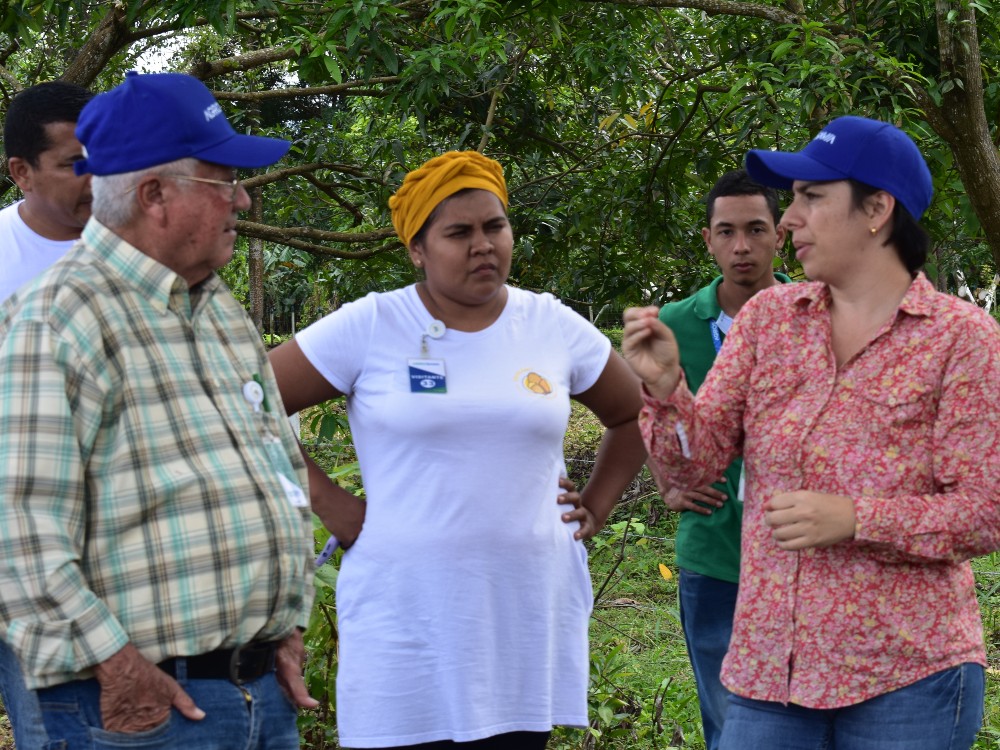 AGROSAVIA Fortalece Asociaciones De Productores De Fríjol Guandul Para Producir Semilla De Calidad4 AGROSAVIA