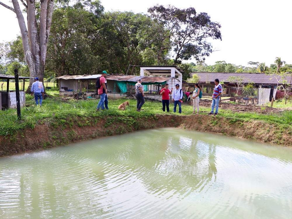 Jóvenes Rurales4 AGROSAVIA