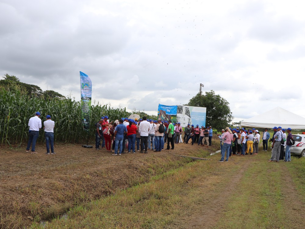 Acciones Que Permiten Sustituir La Importación En El Sector Agro4 AGROSAVIA
