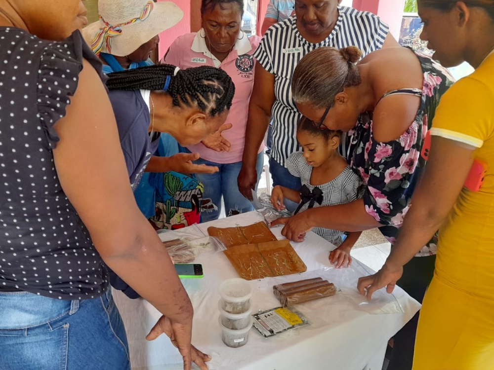PV San Andrés4 AGROSAVIA