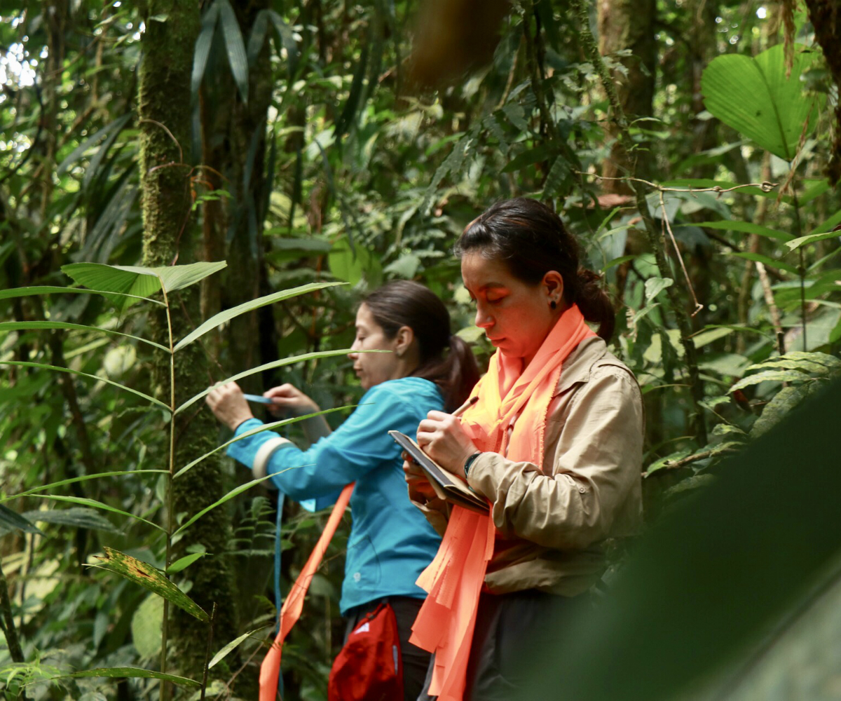 Culmina la fase de campo de la expedición Cacao Bio en el departamento del Chocó