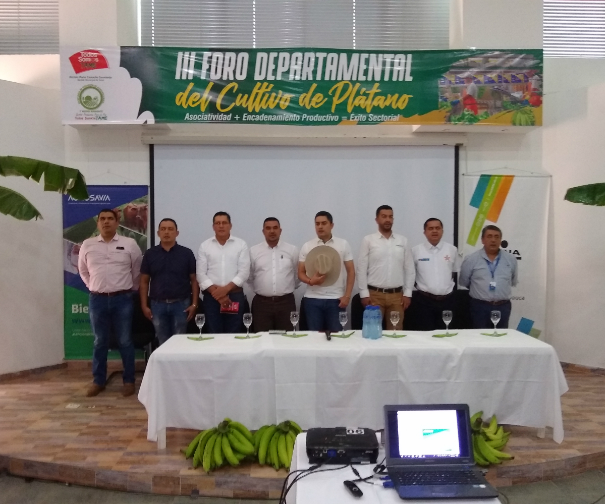 AGROSAVIA en el III Foro departamental del Cultivo de plátano