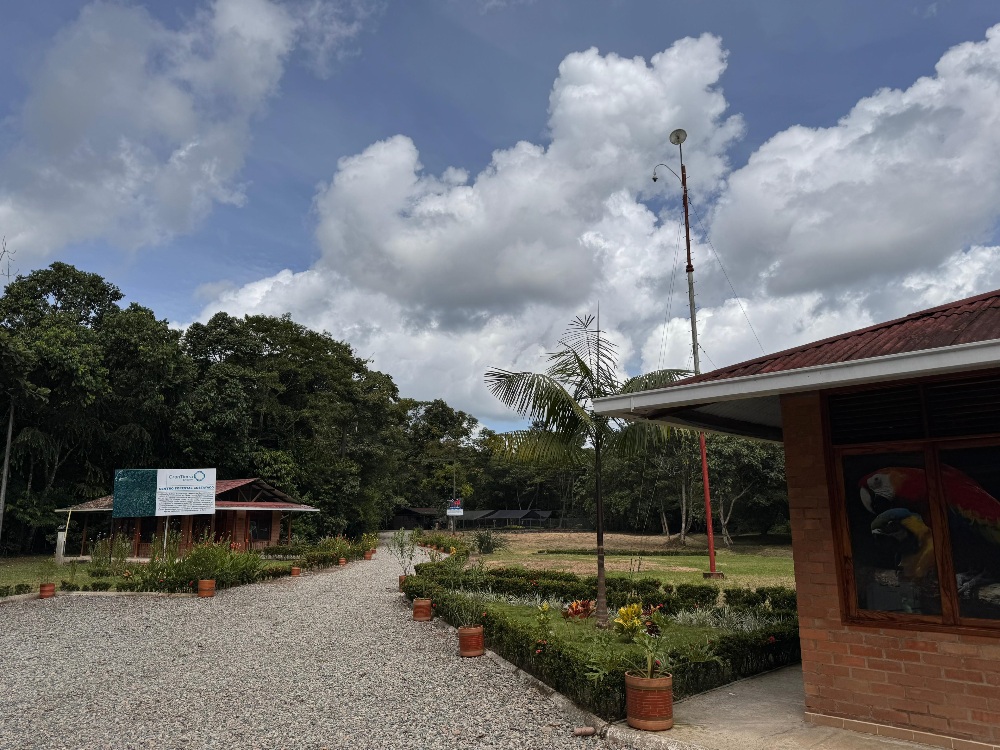 AGROSAVIA will have its first experimental farm in Putumayo