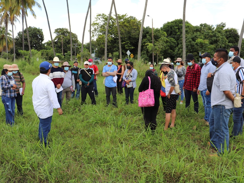 Visitantes Panaca AGROSAVIA