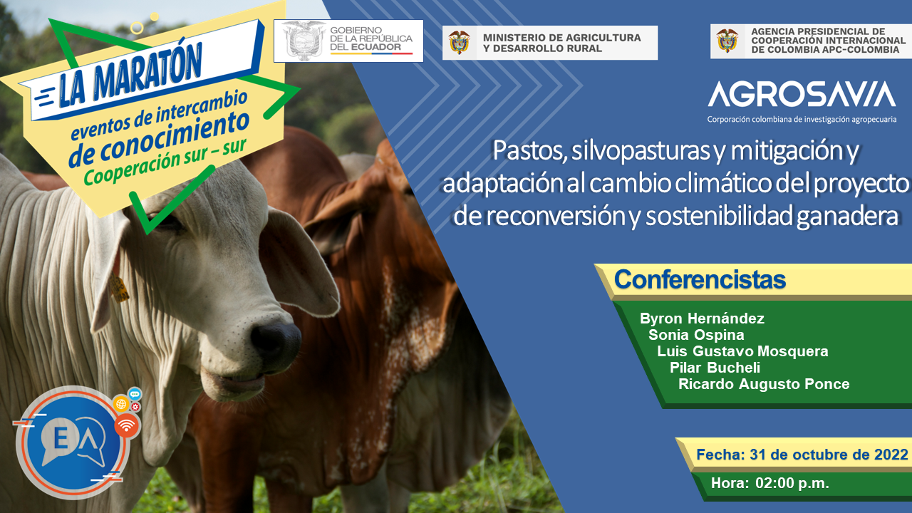 Maratón de eventos en el marco de la Cooperación Sur-Sur
