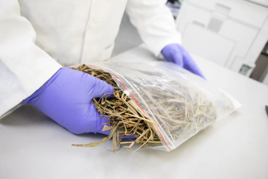 Iniciativas desarrolladas por AGROSAVIA parte de portafolio APC