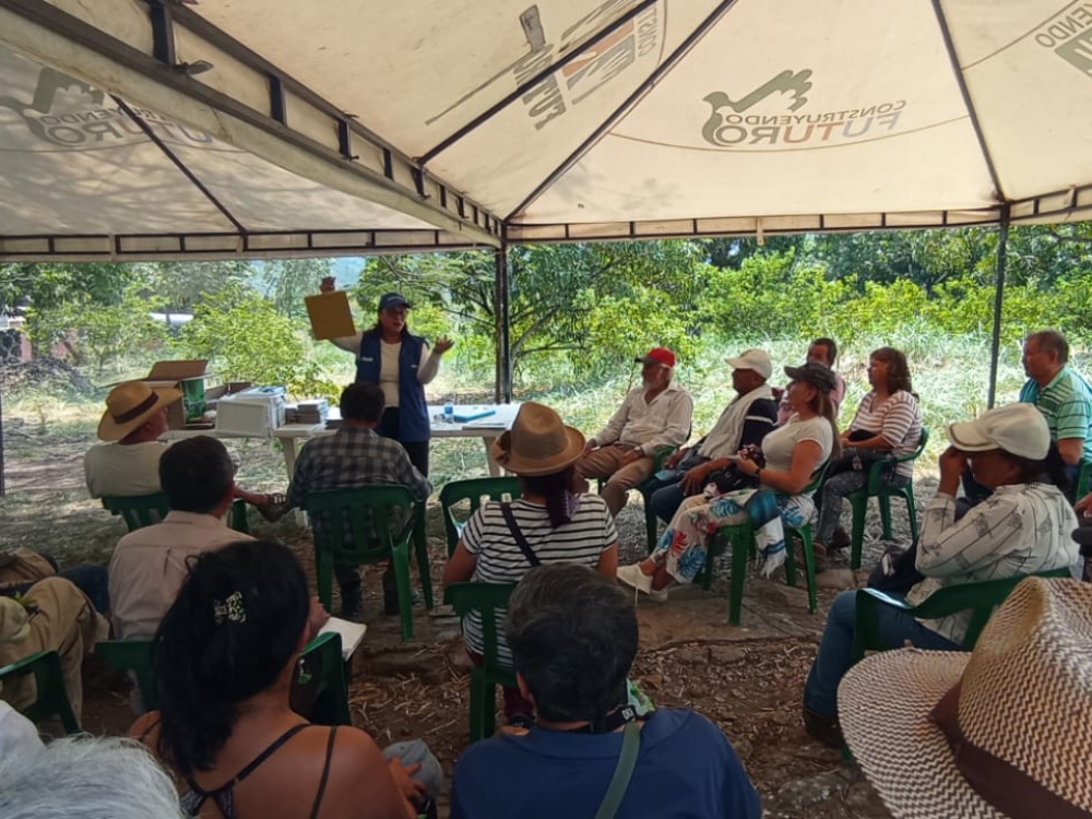 HLB Cund Y Boyacá2 AGROSAVIA