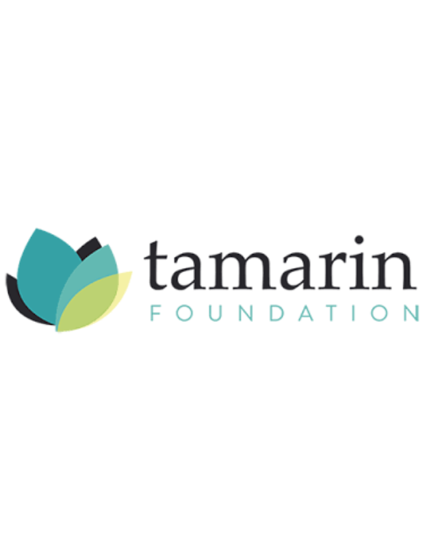 Tamarin foundation