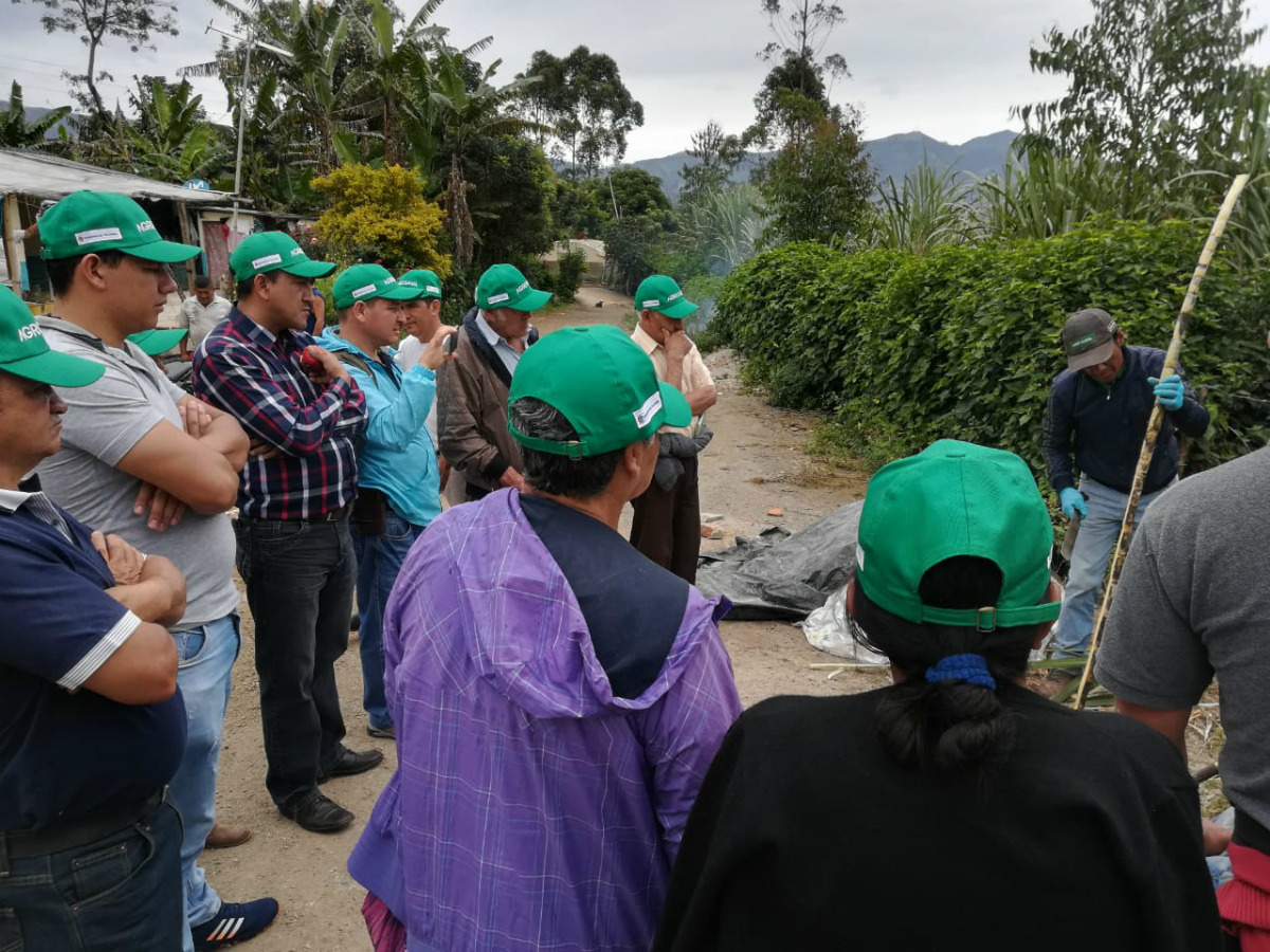 Liberación experimental de Trichogramma en el municipio de Sandoná