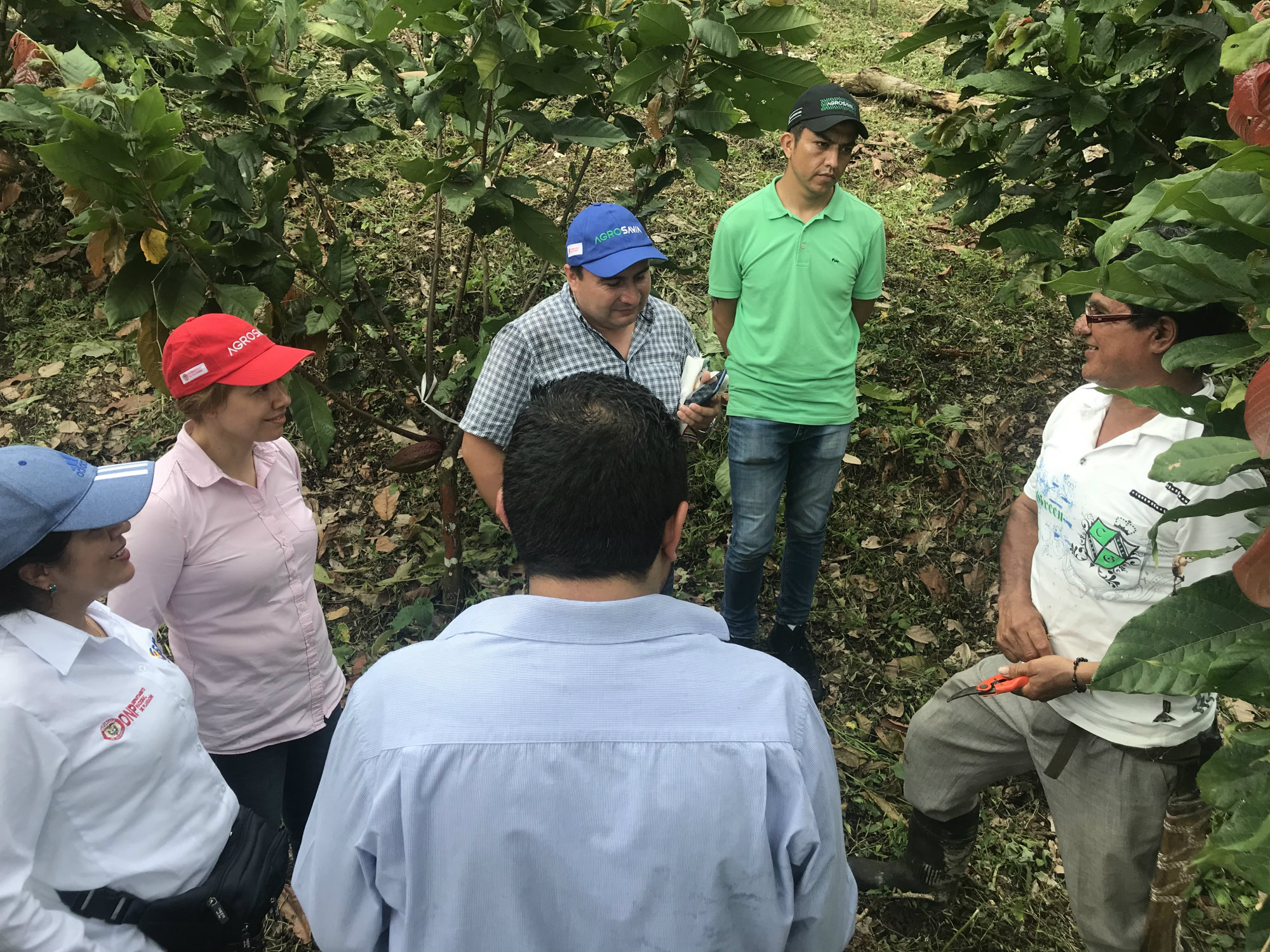 AGROSAVIA y DNP conformaron CVC con productores de Santander