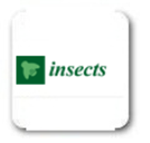 Insects (2010 – 2018)