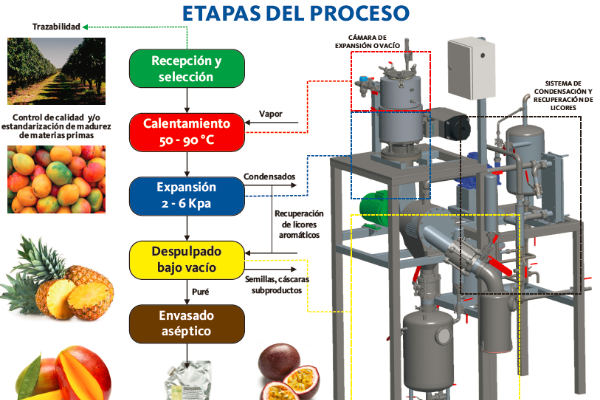 Etapas Proceso de empaque