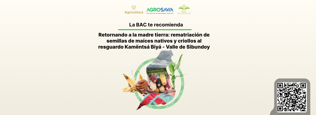 Retornando 1