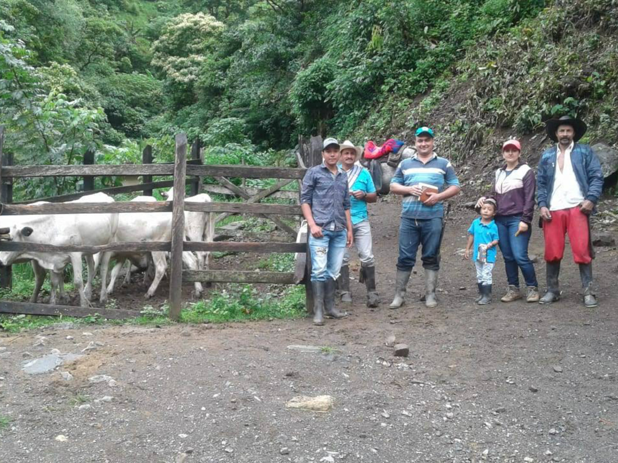 Productores de Ituango, felices con el ganado BON