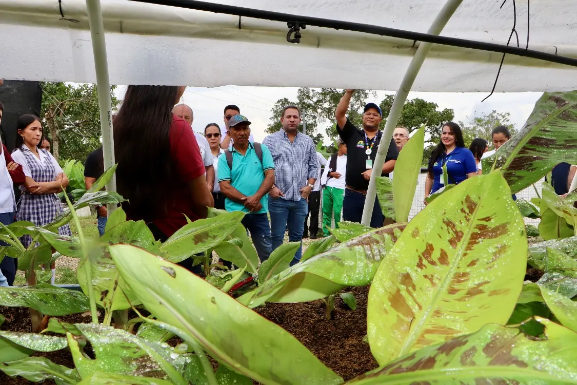 Una Nueva Raíz Para Tello2 Fotor Webp