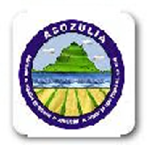 Asociación de usuarios del distrito de adecuación de tierras de gran escala del rio Zulia