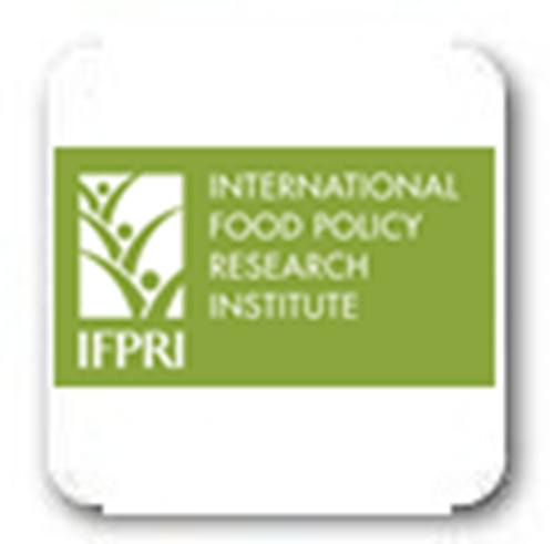 International Food Policy Research Institute