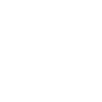 Estructura orgánica y talento humano