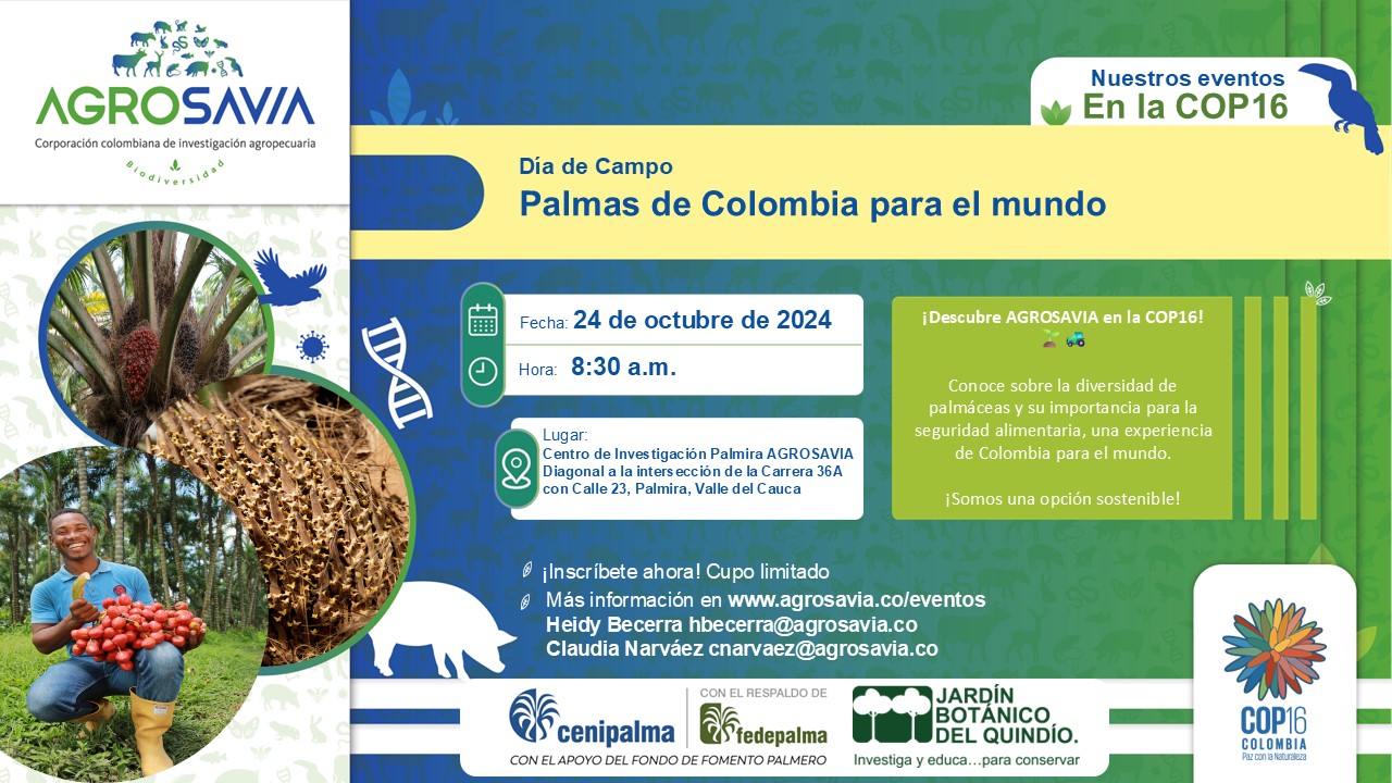 Evento 24 octubre