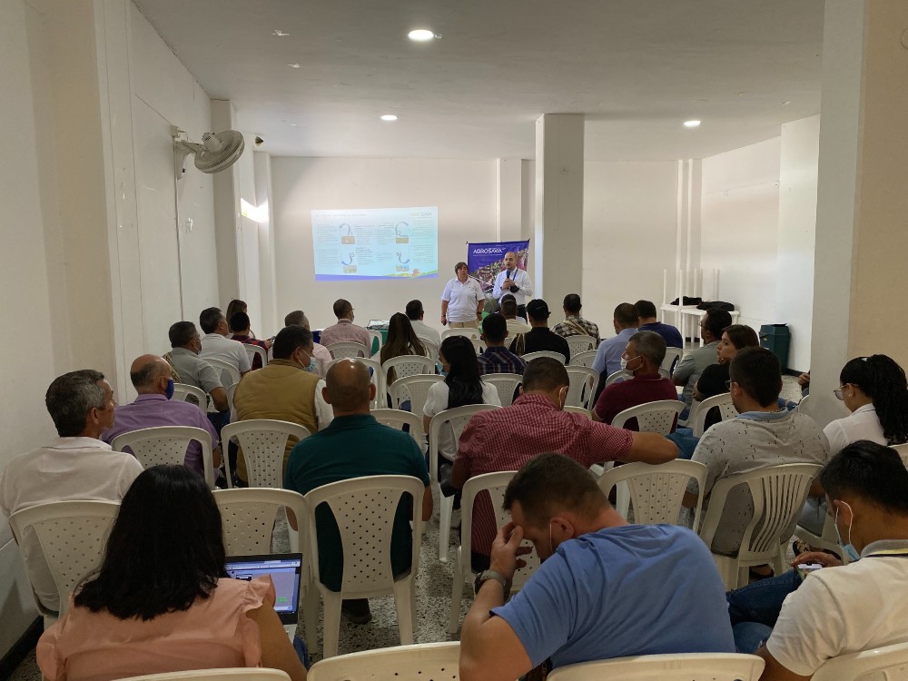 AGROSAVIA Presenta Proyecto En Cebolla Ocañera Para Norte De Santander2 AGROSAVIA