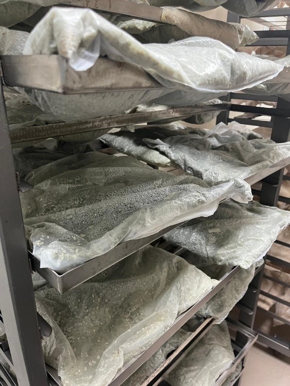 Fermentación