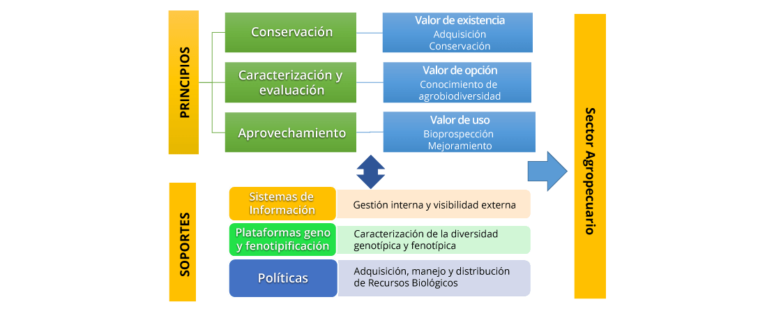 Estrategia
