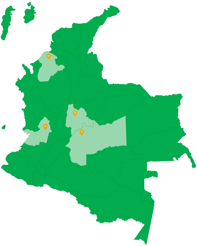 Mapa Genetica Molecular