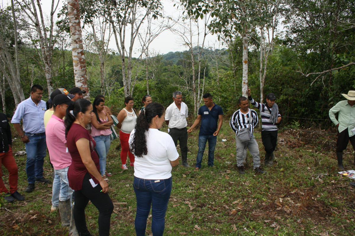 AGROSAVIA realiza taller sobre el manejo sostenible de suelos en Caquetá