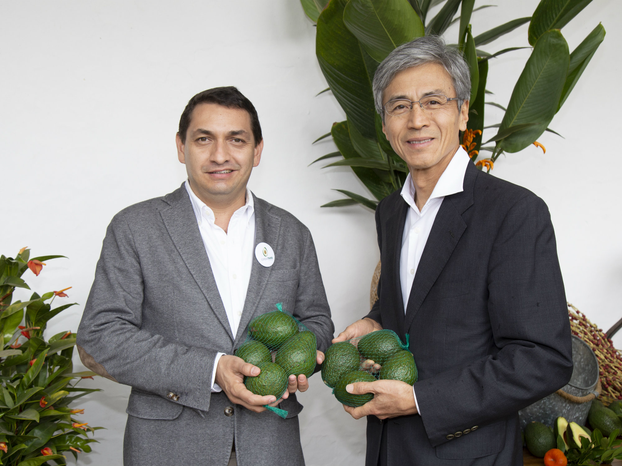 Hassjap 1 AGROSAVIA