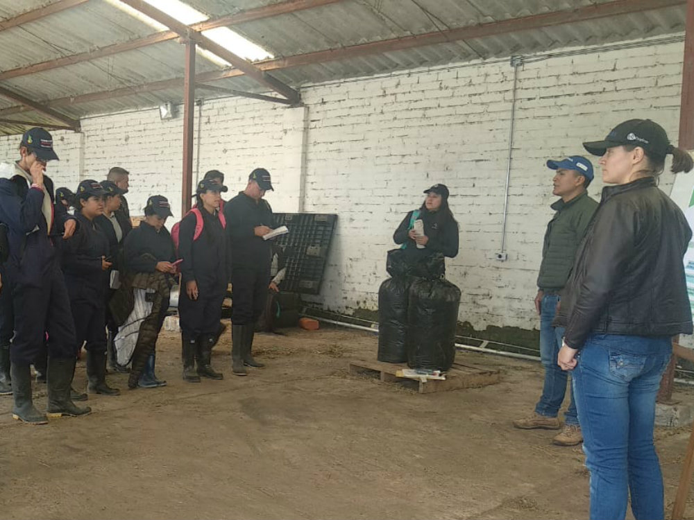 Estrategias para mejorar la oferta forrajera y la calidad de leche en Nariño