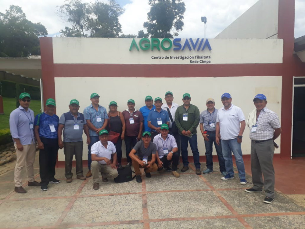 Productores De Nariño Visitan La Región Panelera De La Hoya Del Río Suárez AGROSAVIA