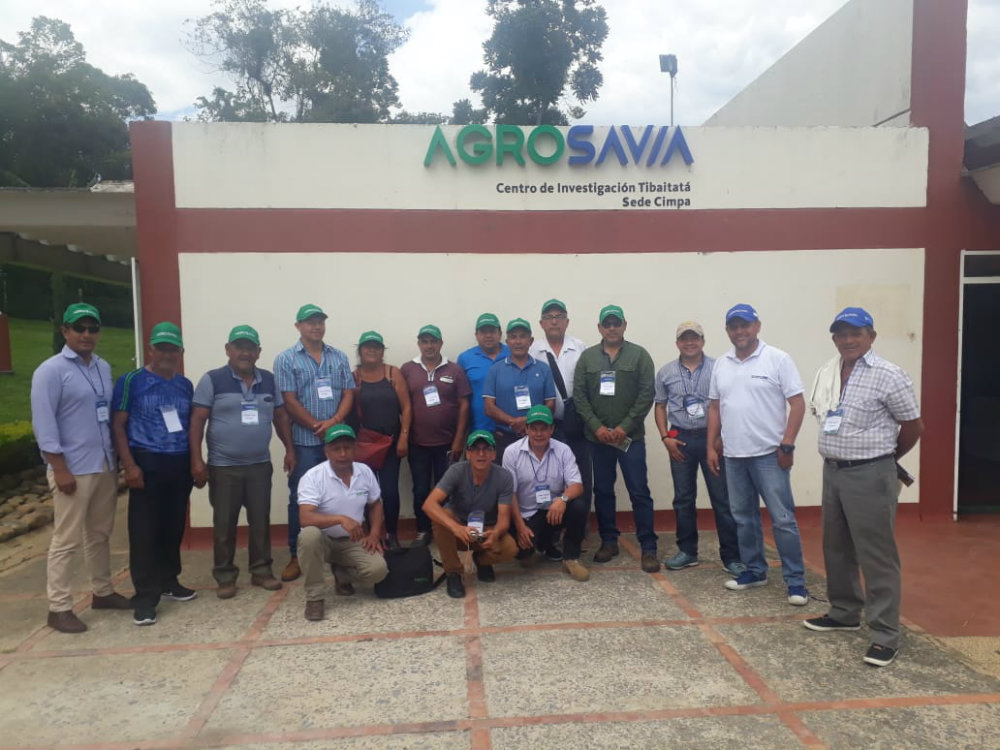 Productores De Nariño Visitan La Región Panelera De La Hoya Del Río Suárez AGROSAVIA
