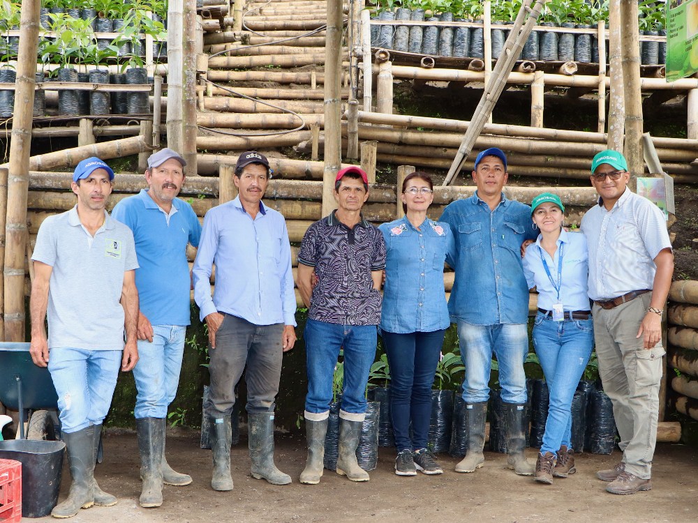 Plan Semilla Aguacate Herveo7 AGROSAVIA