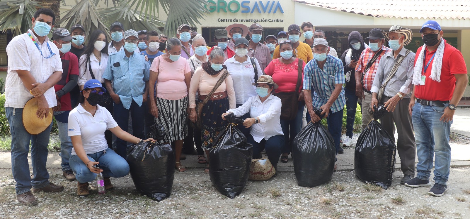 Productores Ganaderos Del Departamento De Magdalena Reciben Silo De Sorgo JJT 18 U Maíz Corpoica V 114 Para Enfrentar La Época Crítica AGROSAVIA