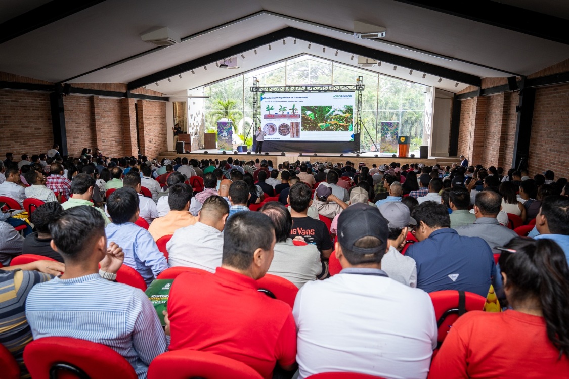 AGROSAVIA participan en el Simposio Internacional de Musáceas