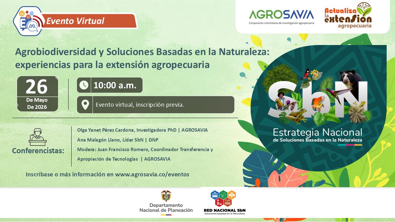 Evento 26 mayo