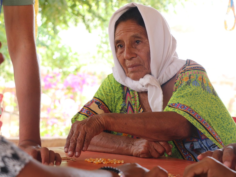 AGROSAVIA Identifica Técnicas Locales Para La Conservación De Semilla En La Guajira4 AGROSAVIA