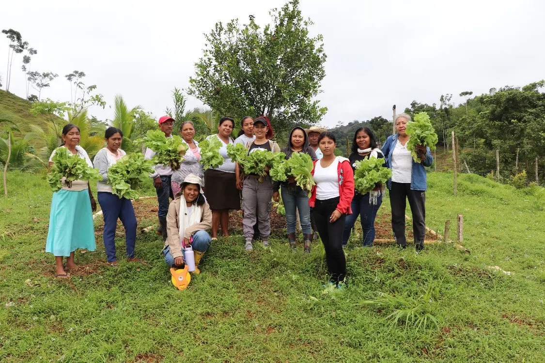 Sistemas Agroalimentarios4 Fotor Webp