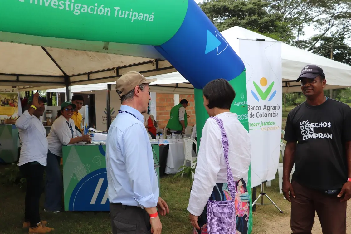 ICARRD+205 Fotor Webp