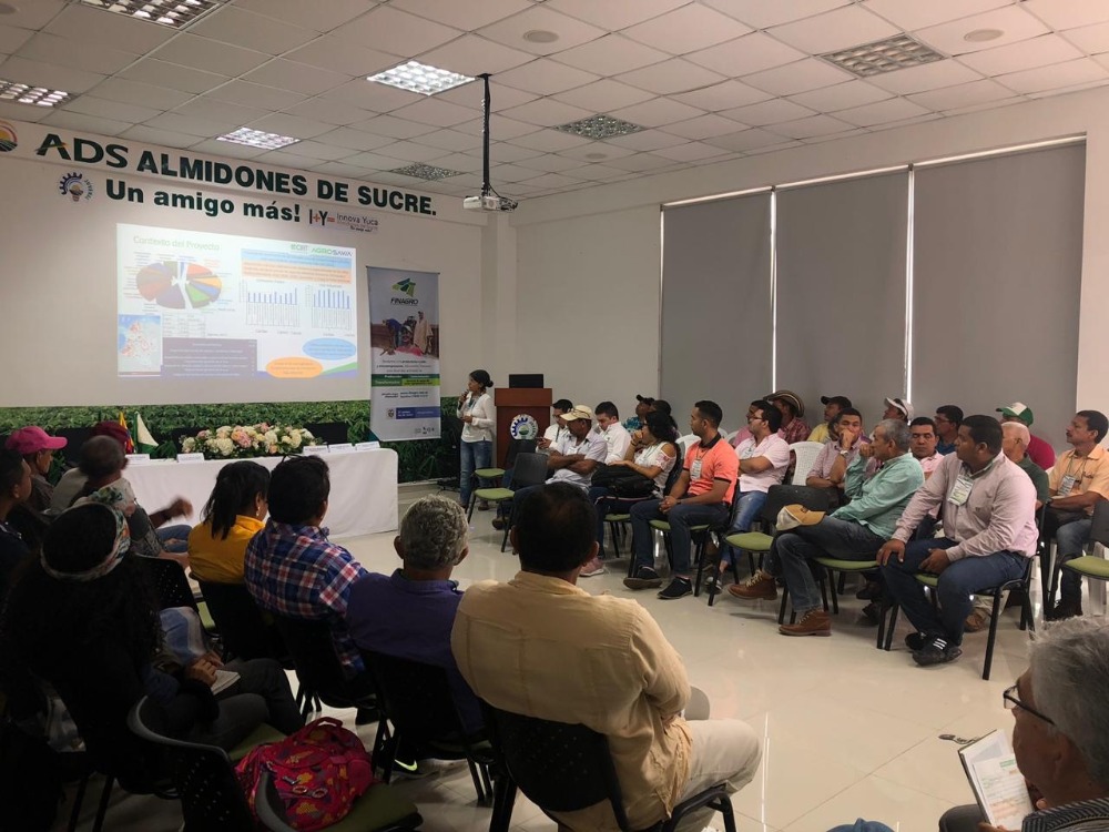 AGROSAVIA hace presencia en la Semana de la Yuca