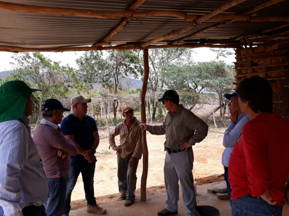 AGROSAVIA participó en jornada enfocada en cultivo de Marañón
