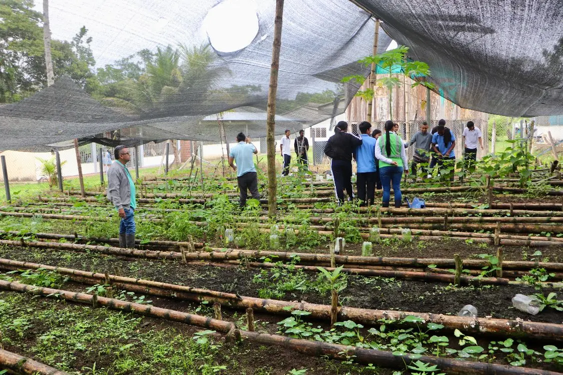 Semillas Jóvenes Fotor Webp